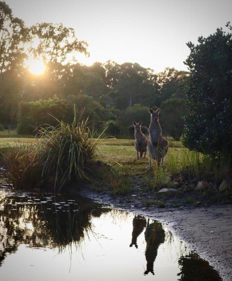 Lake Weyba Cottages Noosa เพเรเจียนบีช ภายนอก รูปภาพ