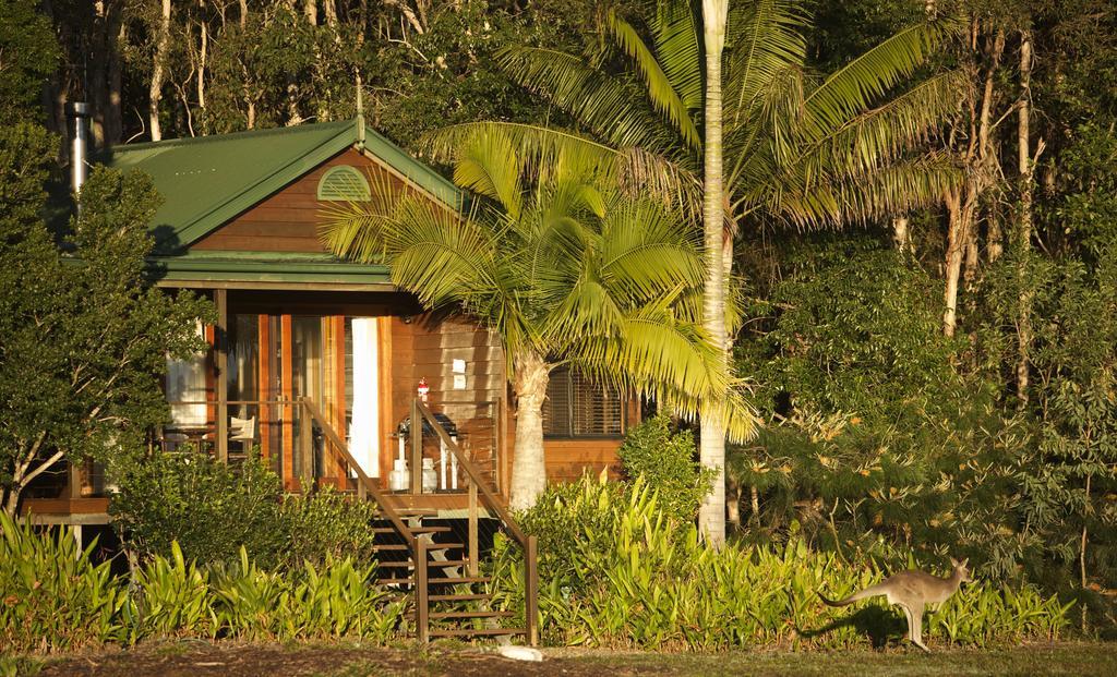 Lake Weyba Cottages Noosa เพเรเจียนบีช ภายนอก รูปภาพ